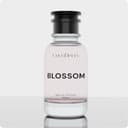 Rosea