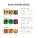 Blue Intense fresh perfume for men showing cucumber melon and suede scent profile