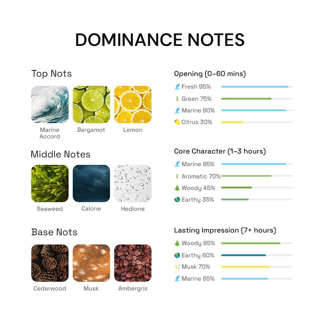 Ocean Dominance aquatic perfume for men notes breakdown showing marine seaweed and salt scent profile