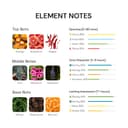 Element orange pepper and vetiver scent notes