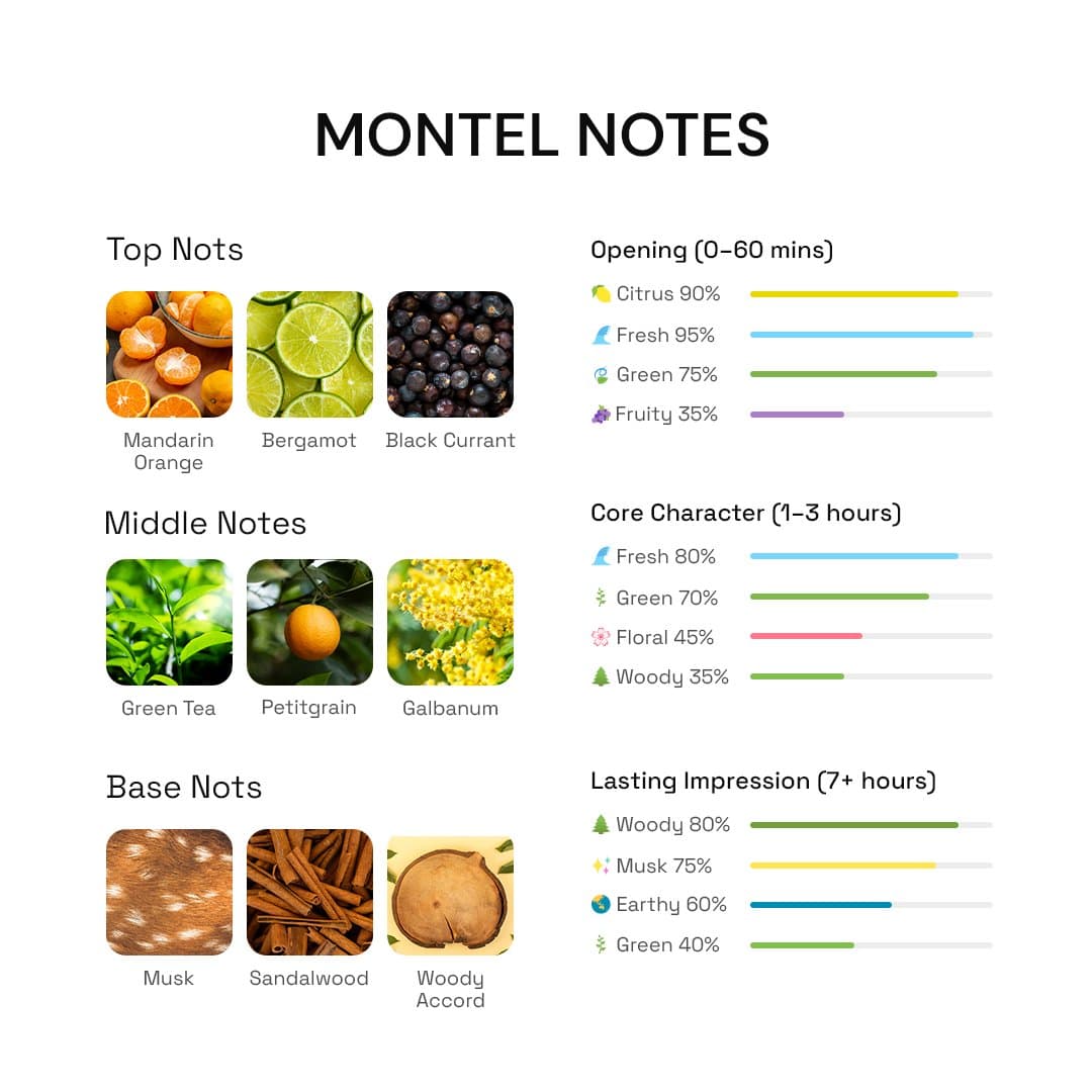 Montel unisex fragrance showing crisp green tea and musk notes