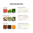 Noctis tobacco and amber fragrance notes detail