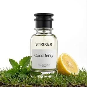 Striker